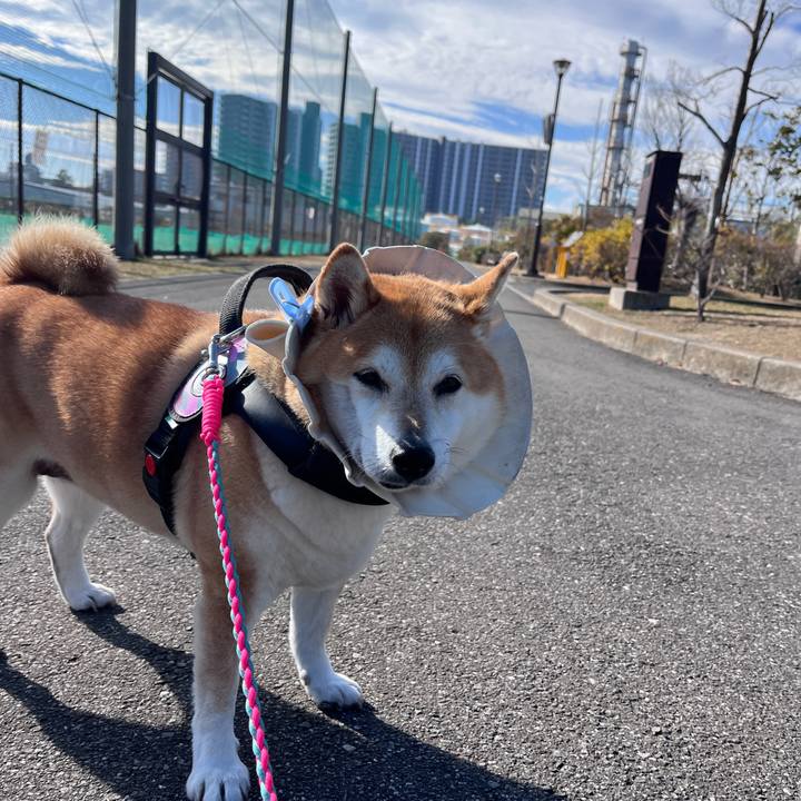 1c746a27 a755 44cb 9883 e7341f2d1322 1705546640262