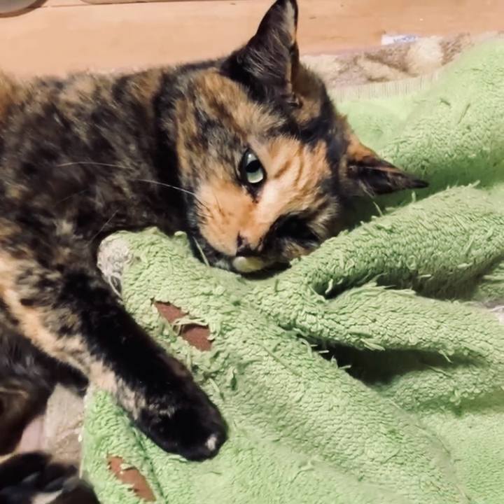 1c746d0e b302 416c 80ef 631b6a96638b 1734031902644