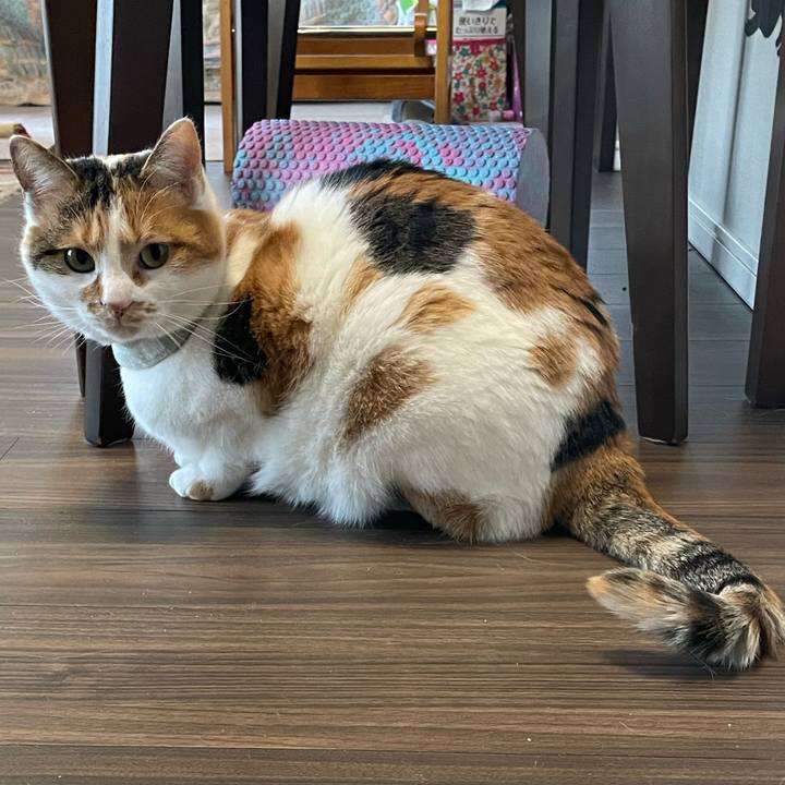 1c746da3 54ce 4161 85a4 b3018103fd7b 1672788836103