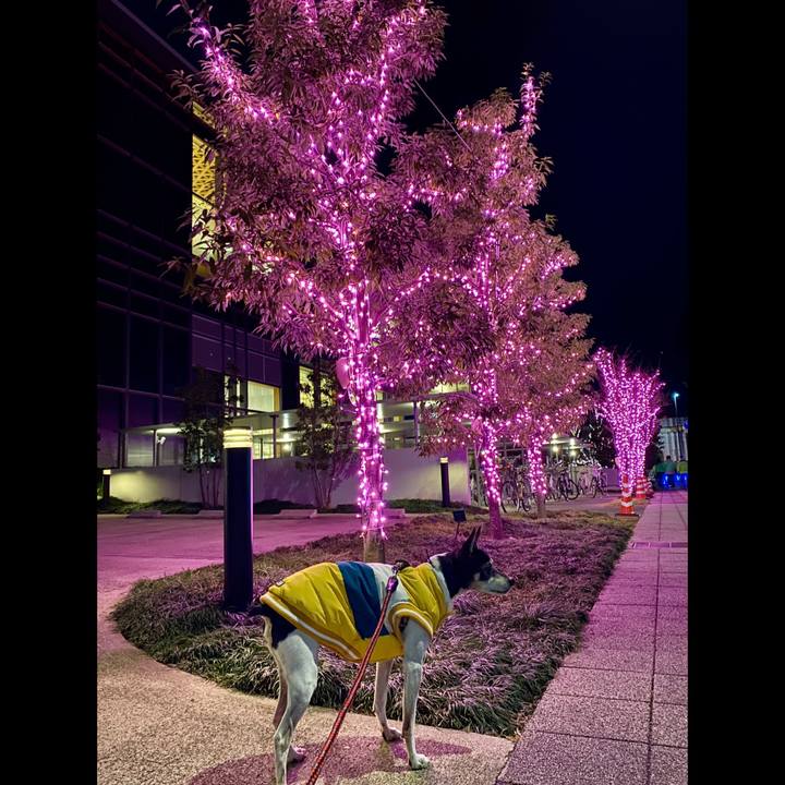 1c74869e 1a59 4b41 9146 8e767d7ff6a3 1577710550335