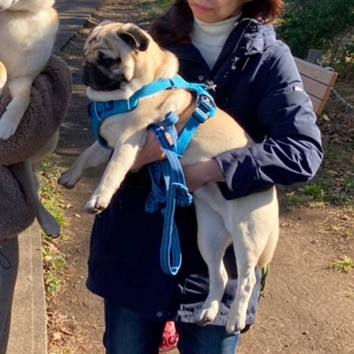 1c7493cb 70ec 4897 843c b9c3d470ed03 1580392844586