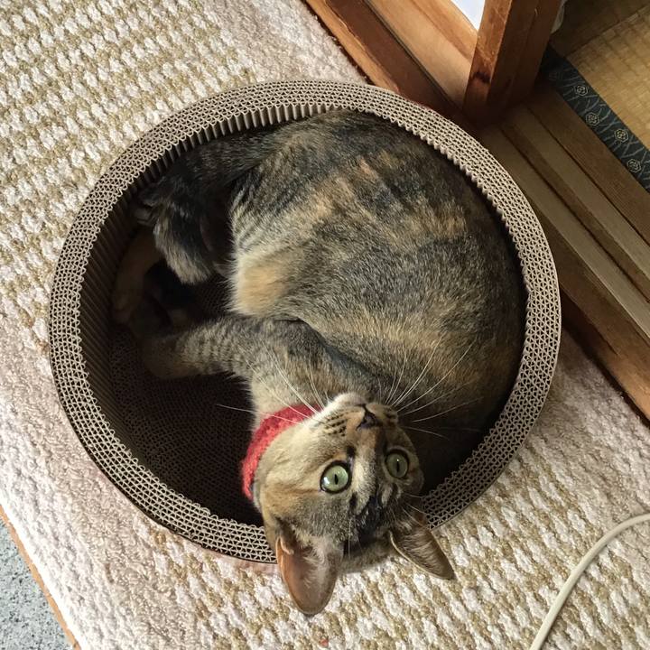 1c74ac57 91f0 4eec a191 0b3e558249a8 1599363573252