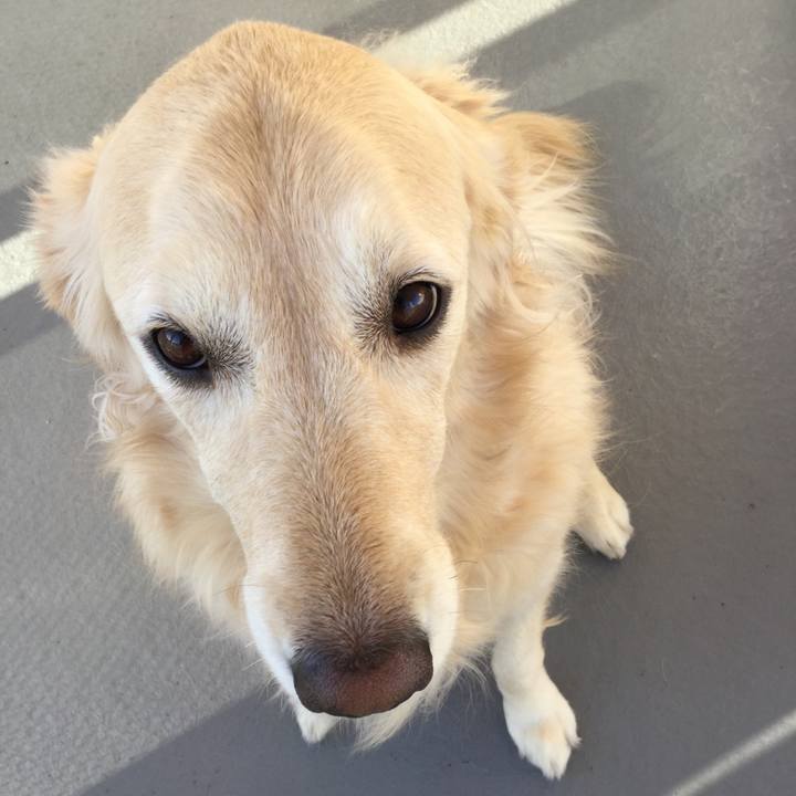 1c74ca72 16b3 4300 9ba9 05fdb753fc8d 1511478504632