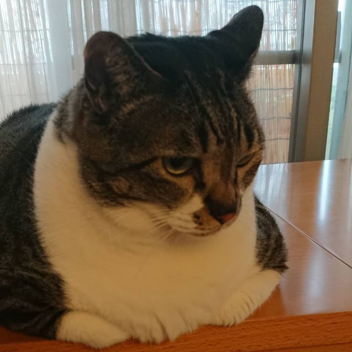 1c74cdd7 7195 4fb0 8ae8 940d51e7adfc 1562623800385