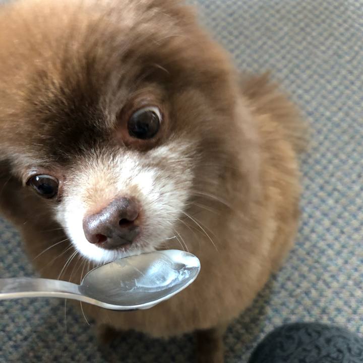 1c74d39c 4760 409a 9901 da818de6350b 1551929949232