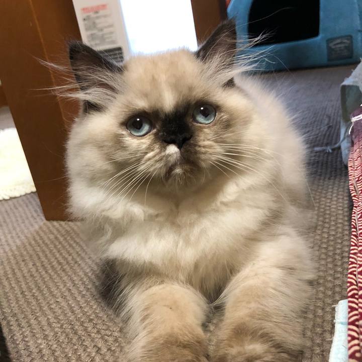 1c750e50 bb7c 4019 be9a 3957bd110853 1631154453550