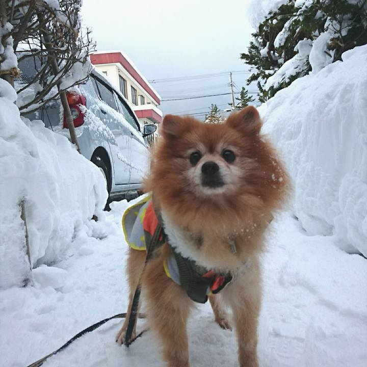 1c75179d ed07 4924 82fd e50baa7c80f7 1524996644569