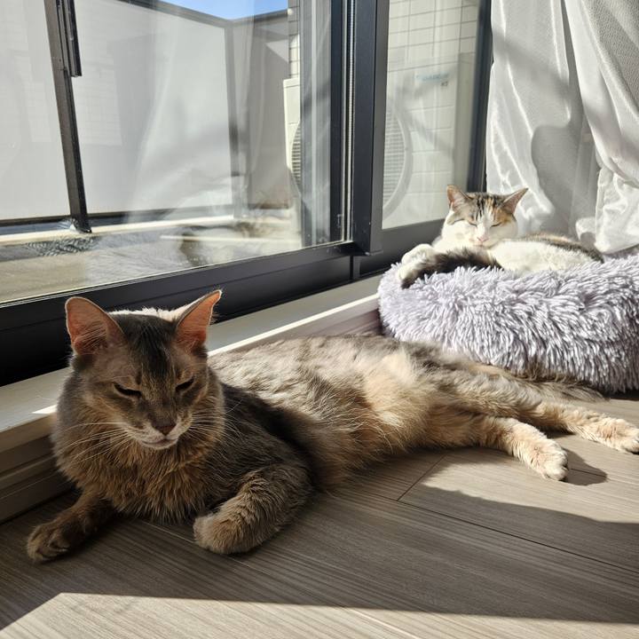 1c751ce3 7d0c 4285 8f31 186ee7f3f1c6 1773204314402