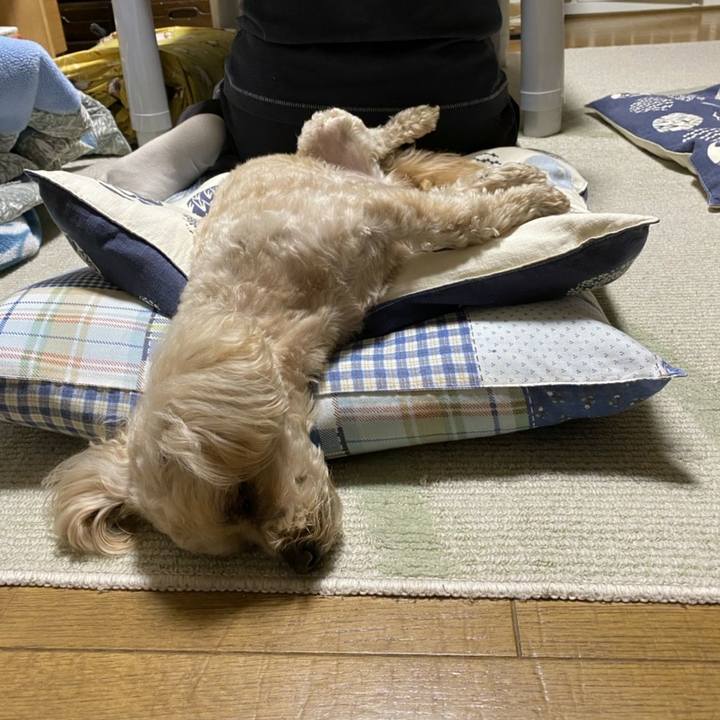 1c75290c 5161 4a9e 86a2 8e850437b229 1589895810699