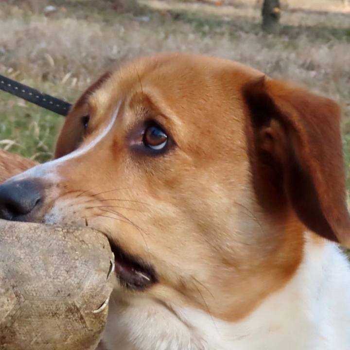 1c75320d 5b2f 4dbe b4e6 ee917323ef78 1676173381370