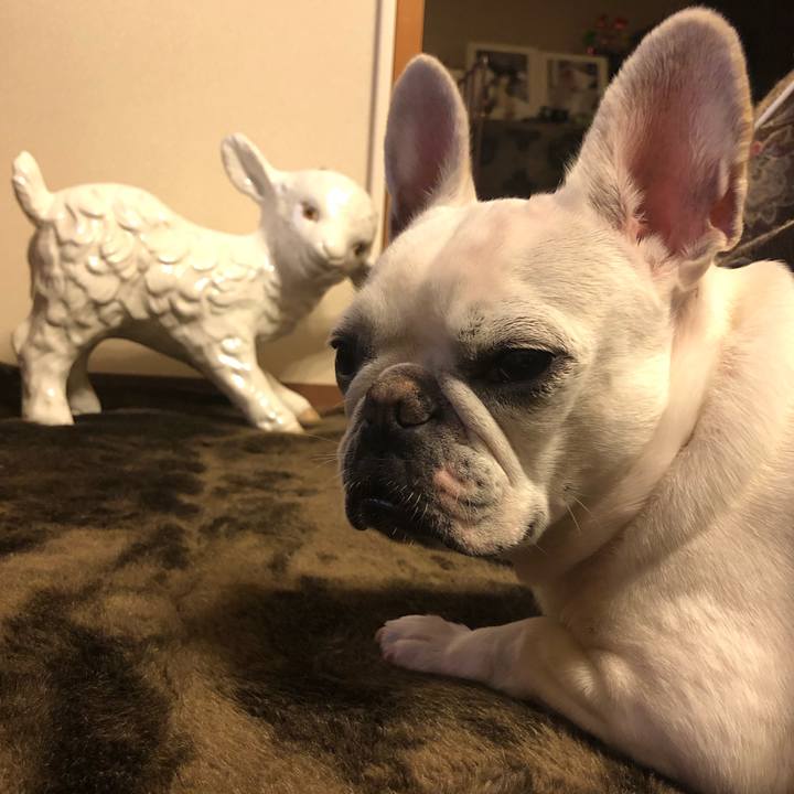 1c753a7c 370d 4abc 82a0 07028e3e4e41 1584280024808