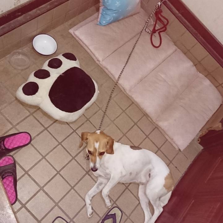 1c7576c3 5b01 41f0 9ba9 8f3c12f1a879 1564060576160