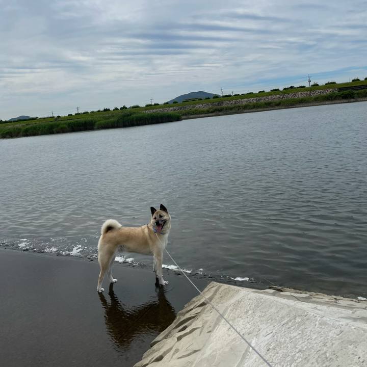 1c75d8d1 d720 4e1a 8ca8 1d901cb0a532 1687594532129