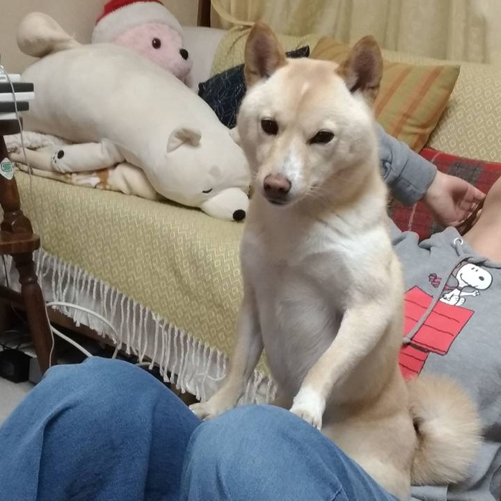 1c75d971 a763 47e5 a1b8 2f29eccda3fe 1547715310927