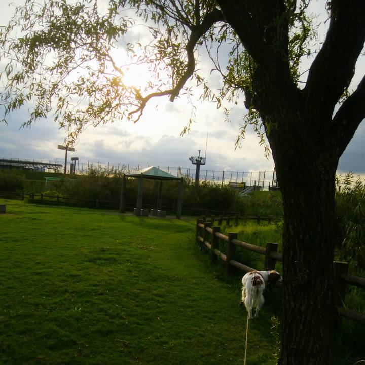 1c75dbfd 8932 4d60 8928 fd62bd06fbcf 1537865605007