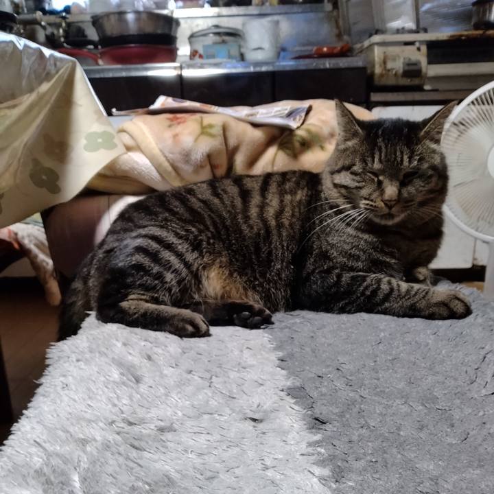 1c75f5e3 2bdc 4efb be34 61a1c5648ce9 1670537617179