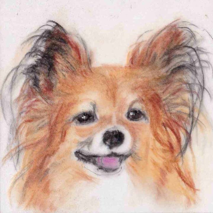 1c75fdbb 6ee4 41a5 beec 2a6953d0d7f4 1648477477624