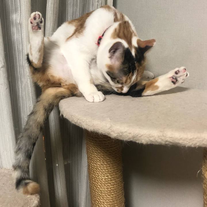 1c76608f 496f 47e7 8a1a 9d68f1de3e5f 1580820073004