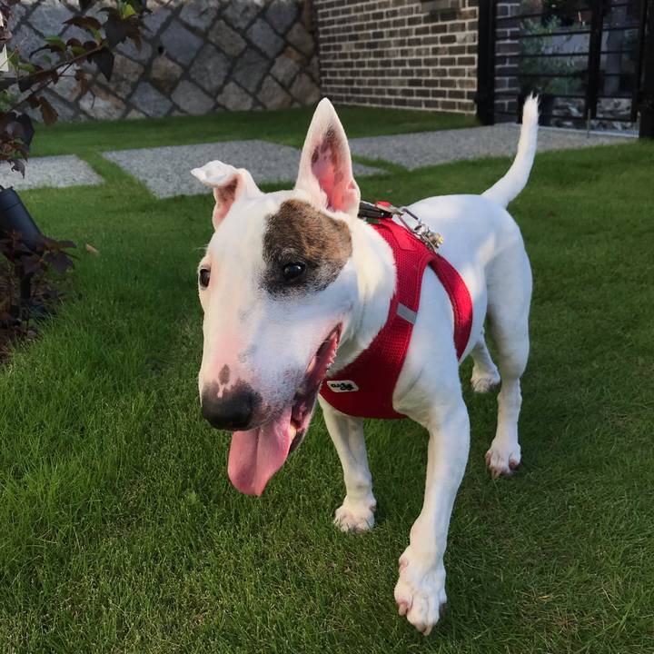 1c76645a fb54 45e4 bdc4 d72372cac066 1598831964248