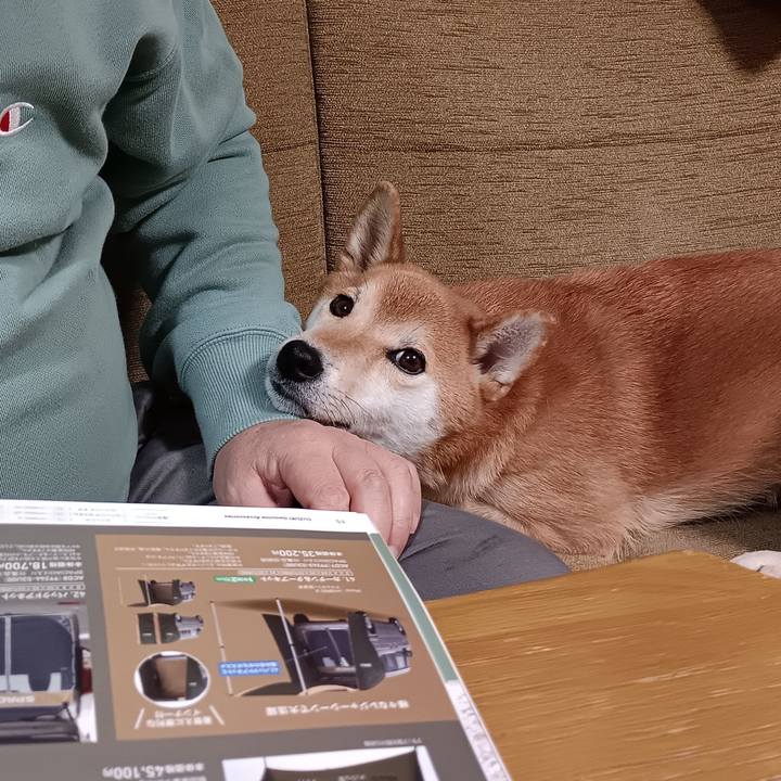 1c766932 82c1 4e77 9e95 e13de9cd603f 1765548848844