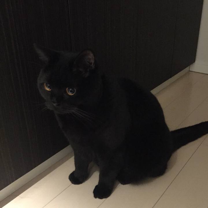 1c7669e4 fe21 4975 9137 22e78bd2b680 1515326061912