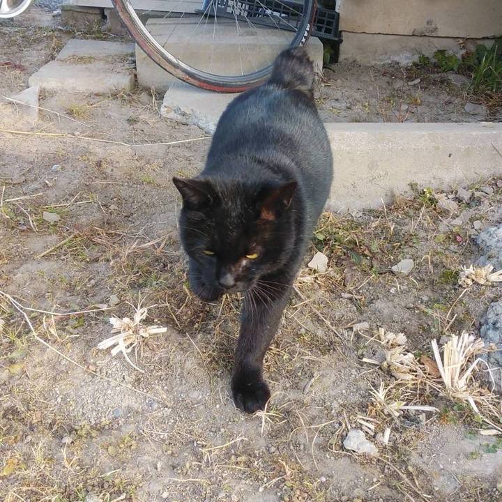 1c768383 4c94 4472 a513 a55e1d73dffb 1609813879923