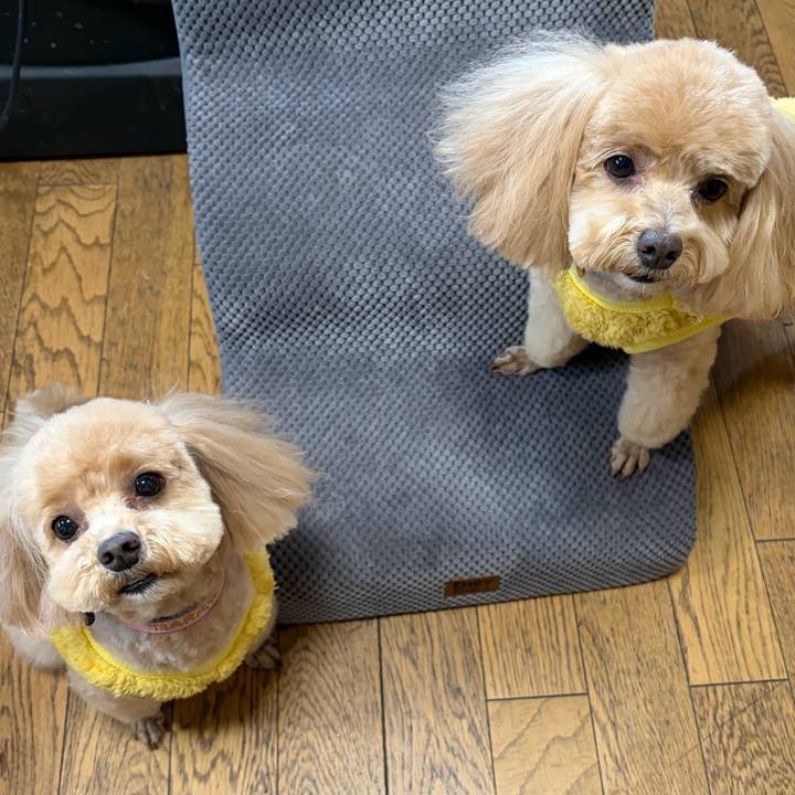 1c76bb1c a7fa 4a83 938c 2f6d4a643b22 1770435540007