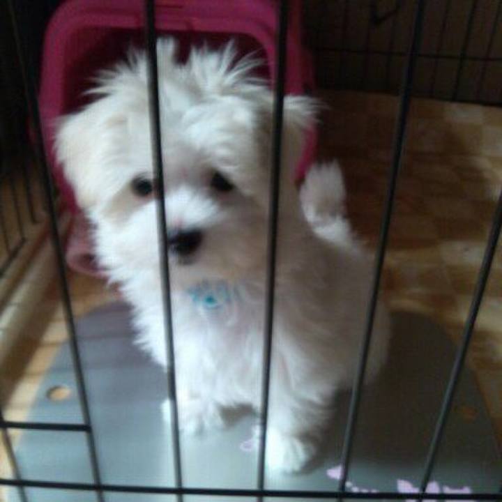 1c76ec94 a4d1 4442 a815 115b8b9bff45 1619134495999