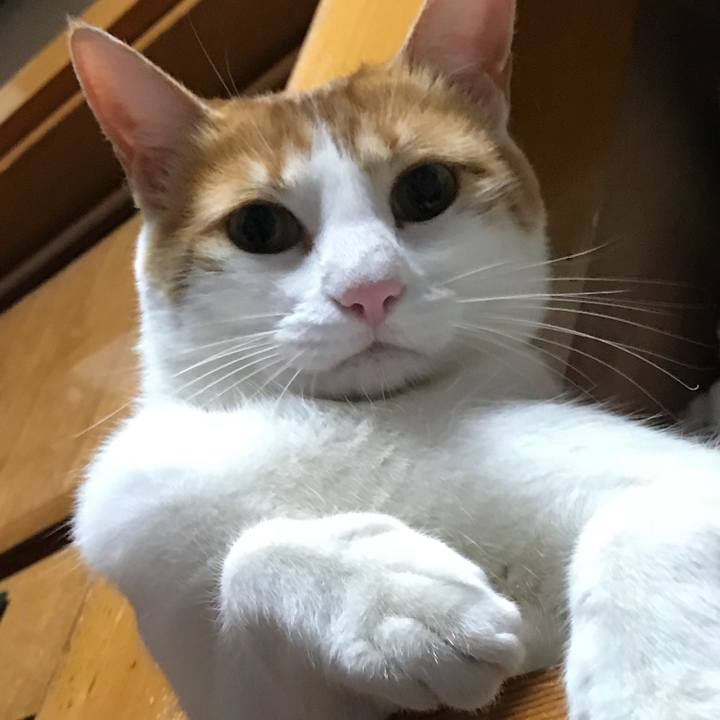 1c770c86 d6b2 4d04 b6df 10775abc1e86 1512038465674