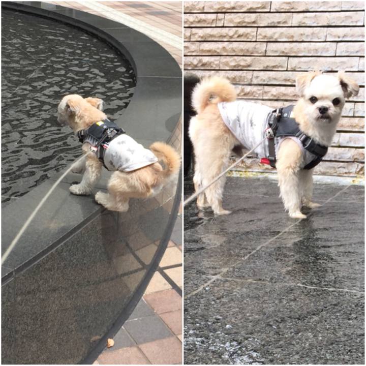 1c77484b 45df 420c 9d7e bf2f89e080a7 1566905645318