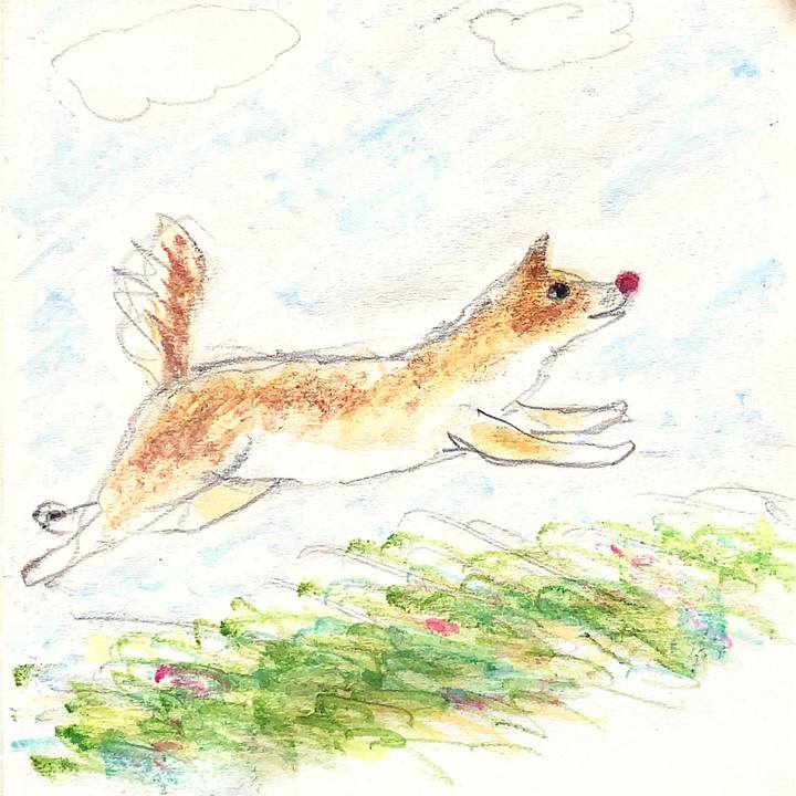 1c775edb 7029 408f 990c 8953a86c4717 1670887359187