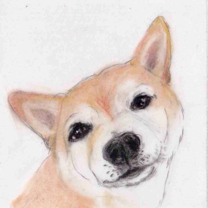 1c777368 da58 4150 ade6 ab5cafa31b25 1661047893215