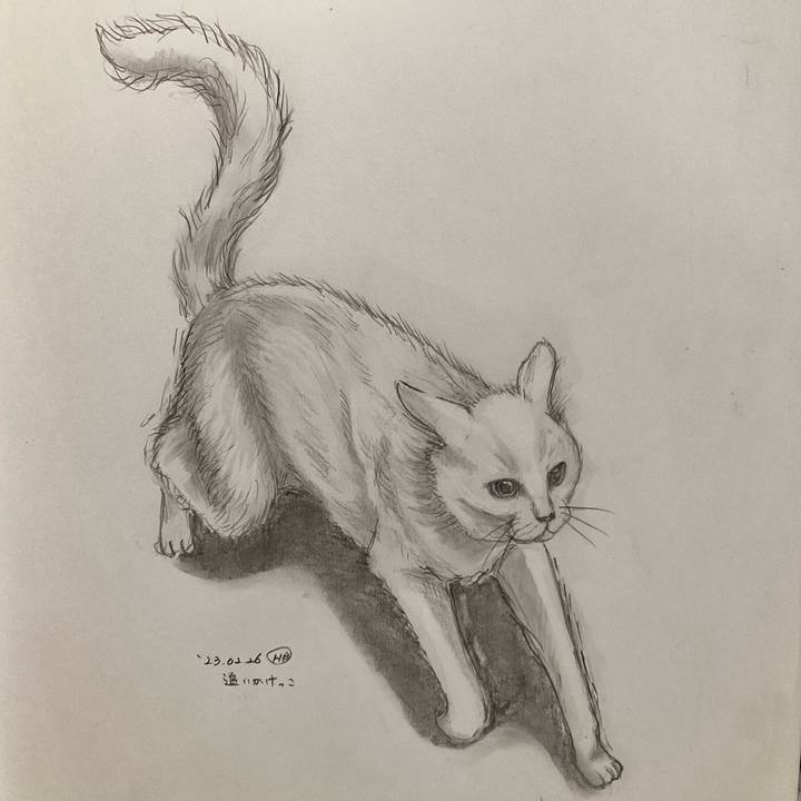 1c77a6fd 7cf7 41c2 8bfe 47fb603d0b66 1677667550394