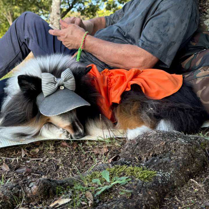 1c77d5a8 6ded 4fab aff0 f3d1bf6c7e49 1730819605223