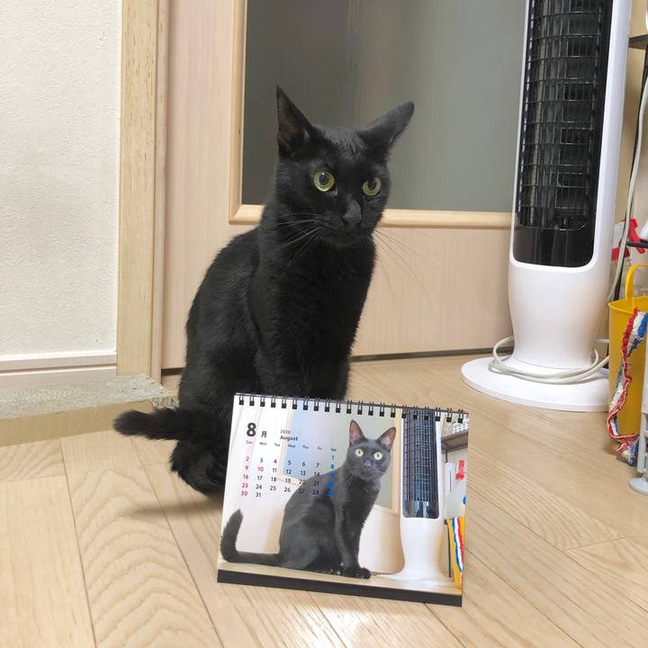 1c77eabb f834 437e 97be 11a647dfaa07 1596721483369