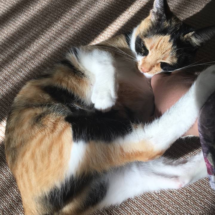 1c77fb52 803a 4e81 9bbe 8a040d8e8bfc 1509535469976