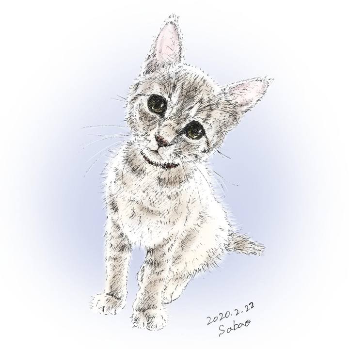 1c77fdfc c94b 40e0 b289 7ad9ee2958d1 1582377724806