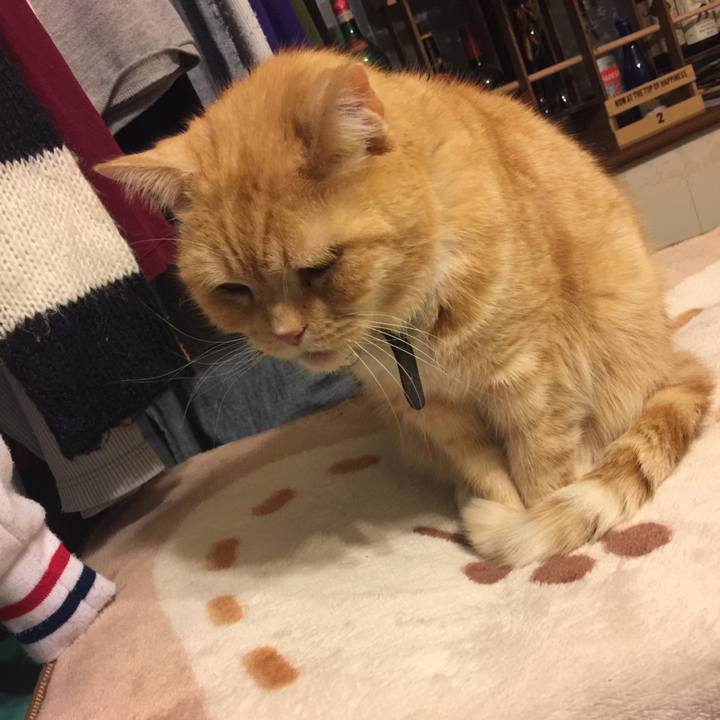 1c78053d 6d58 4f30 9c58 3a01e859faf5 1555407806909