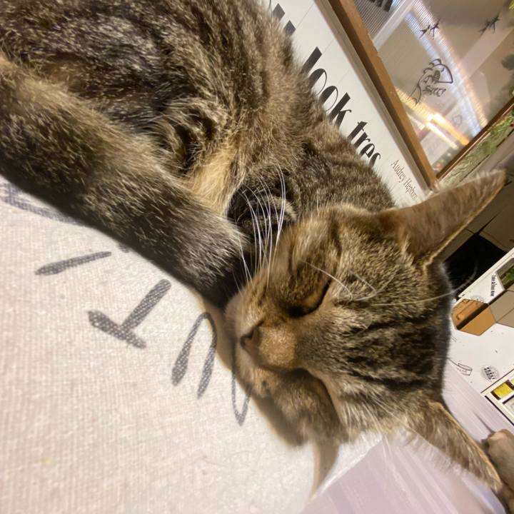 1c780e10 35a4 4d7e 9bda 7f1c2b4ec85d 1606414435794