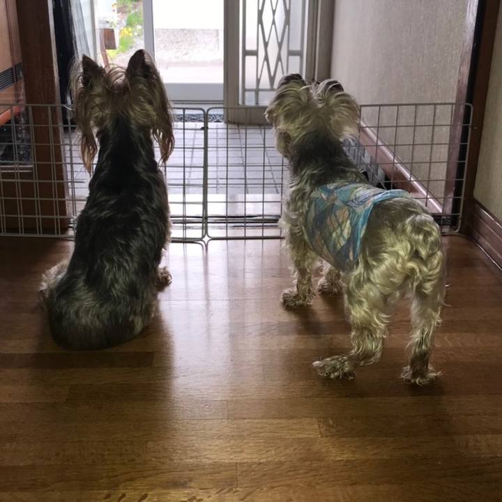 1c785f92 dd9c 413b b53f 3efd3f9143ad 1564135377785