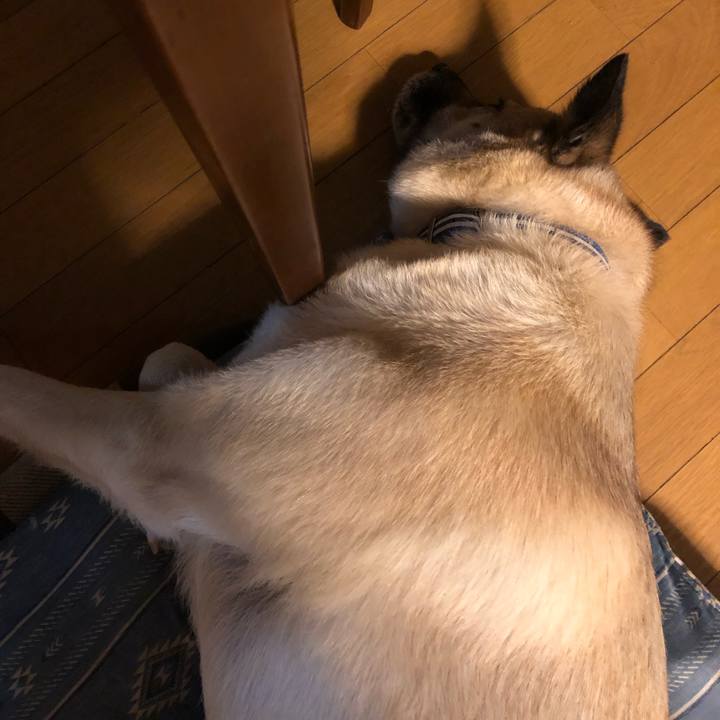 1c7863b7 9110 4ba6 bdf4 976a2fa9971f 1622204025113