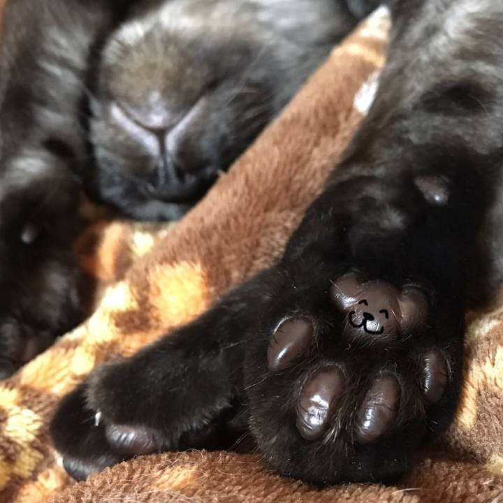 1c787830 e423 4272 9967 7ceb20b8479e 1555513014981