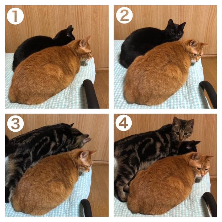 1c78c472 ea7e 438b 8549 ea4b9935d757 1737374105579