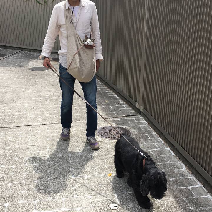 1c791834 37ba 42c1 82d5 9c96e63132cc 1527340796590