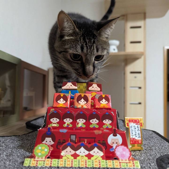 1c791d5d 94b2 42de be18 f38e84be5f41 1740995063111