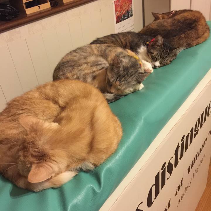 1c79553f aa71 4085 9b1e 815b836fc123 1571363955895