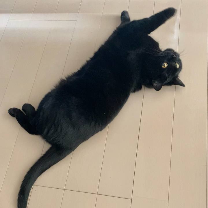 1c796bb3 6e60 46a5 9680 3dc4dbce6a68 1626040081886