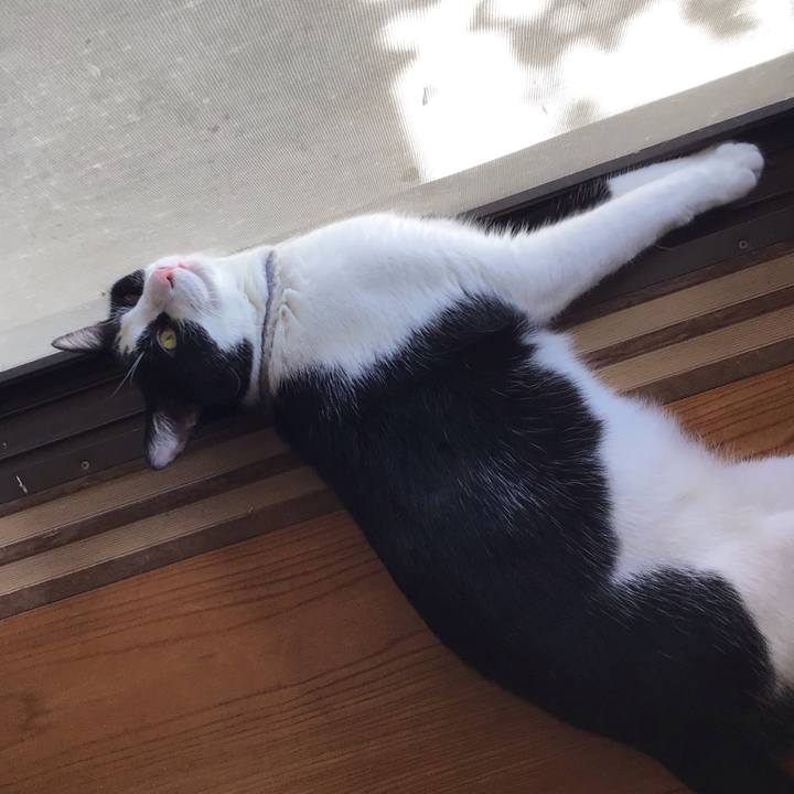 1c797565 b0ab 4f29 a966 8d4ff7f0c478 1659440011575