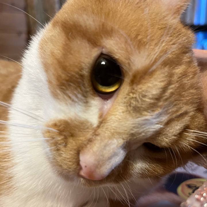 1c79b488 3bbf 4bbb 8f74 b7d2354bef34 1675817860965