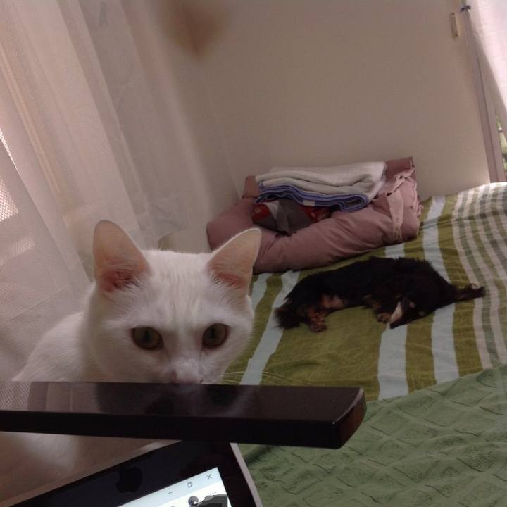 1c79bd4b bbbf 4dd3 8f3f 0853254c0597 1624586239901